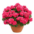 Künstliche Begonie im Topf 45 cm aus Kunststoff Rosa für Innenräume