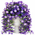 Künstliche Topfpflanze 75 cm Kunststoff Violett Weiß für Innenbereich Hängeblüten Dekoration